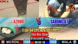 Trận 44 CPC1 26/5/2025 - AZ888 Và SaBong 67 Va Nhau Cực Căng