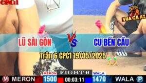 Trận 6 CPC1 19/5/2025 - Gà Bông Anh Lũ Có Chân Cúp Điện Về Bờ May Mắn