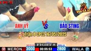 Trận 8 CPC2 16/5/2025 – Anh Vỹ Kiên Giang Vs Anh Bảo Sting