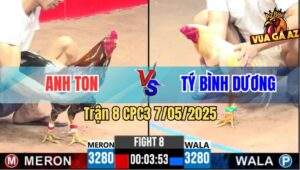 Trận 8 CPC3 7/5/2025 - Giao Lưu 1 Xị Giữa Anh Ton Và Anh Tý Bình Dương
