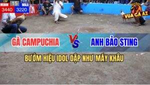 Trận 15 Anh Bảo Sting và Campuchia - Bướm Hiệu Dập Như Máy Khâu