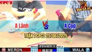 Trận 1 CPC2 25/06/2025 - Gà Điều Anh Cọp Có Trận Mở Màn Thuận Lợi