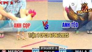 Trận 1 CPC2 6/6/2025 - Anh Bảo Sting Và Anh Cọp So Nài Kịch Tính