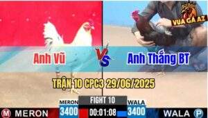 Trận 10 CPC3 29/06/2025 - Anh Vũ Vs Anh Thắng Bến Tre