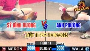 Trận 11 CPC3 11/6/2025 - Que Mặt Lọ Anh Phương Đá Cựa Như Sam Sít