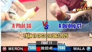 Trận 11 CPC3 24/06/2025 - Anh Phát Sài Gòn Và Anh Dương Cần Thơ