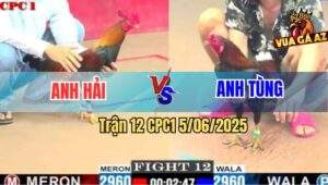 Trận 12 CPC1 5/6/2025 - Điều Anh Tùng Lật Kèo Nhanh Như Lật Bánh Tráng