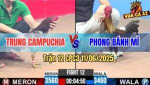 Trận 11 CPC3 11/6/2025 - Que Mặt Lọ Anh Phương Đá Cựa Như Sam Sít