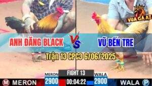 Trận 13 CPC3 6/6/2025 - Điều Cọp Anh Đăng Black Dỡ Giò Là Có Kết Quả