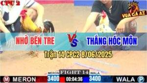 Trận 14 CPC2 8/6/2025 - Bướm Anh Thắng Hóc Môn Đâm Cây Nào Thấm Cây Đó