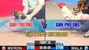 Trận 14 CPC3 11/6/2025 - Gà Xám Anh Thương Vô Nước Khuya Gồng Cứu Chủ