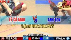 Trận 16 CPC2 8/6/2025 - Điều Xanh Anh Ton Bị Đâm Lọt Bọng Chạy Bay Bồ
