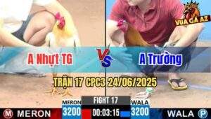 Trận 17 CPC3 24/06/2025 - Anh Nhựt Tiền Giang Vs Anh Trường