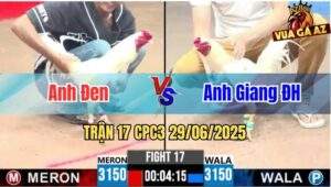 Trận 17 CPC3 29/06/2025 - Anh Đen Vs Anh Giang Đức Hoà, Hoà Mãn Nhãn