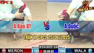 Trận 18 CPC2 25/06/2025 - Anh Bảo Bến Tre Vs Anh Quốc