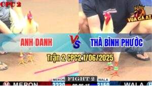 Trận 2 CPC2 1/6/2025 - Đám Bướm Anh Thà Bình Phước Toàn Đâm Mu Lưng