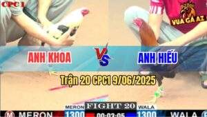 Trận 20 CPC1 9/6/2025 - Chuối Anh Khoa Đá Que Anh Hiếu Ngáo Ngơ Luôn