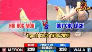 Trận 21 CPC3 11/6/2025 - Anh Hai Hóc Môn Gặp Anh Duy Chợ Lách