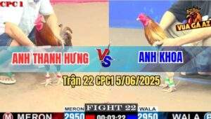Trận 22 CPC1 5/6/2025 - Khét Anh Thanh Hưng Đá Camelo Chạy Mất Dép