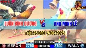 Trận 25 CPC1 9/6/2025 - Anh Luân Bình Dương Đối Đầu Với Anh Minh Lê