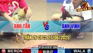 Trận 26 CPC2 27/06/2025 - Gà Anh Tân Lội Ngược Dòng Phút 90 Quá Hay