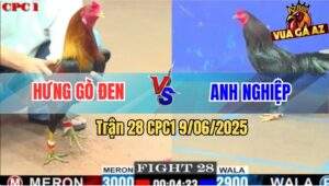 Trận 28 CPC1 9/6/2025 - Anh Hưng Gò Đen Và Anh Nghiệp