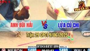 Trận 29 CPC1 9/6/2025 - Anh Bùi Hải Chạm Trán Với Anh Lửa Củ Chi