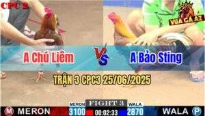Trận 3 CPC2 25/06/2025 - Bảo Sting Chấp Hơn 2 Chấm, Thắng Đẳng Cấp