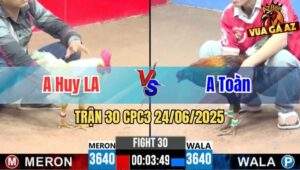 Trận 30 CPC3 24/06/2025 - Anh Huy Long An Vs Anh Toàn