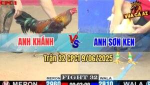 Trận 32 CPC1 9/6/2025 - Gà Anh Sơn Ken Đá Gà Anh Khánh Không Kịp Thoát