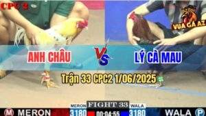 Trận 33 CPC2 1/6/2025 - Xanh Bông Anh Lý Cà Mau Đâm Bướm Bể Bánh Xe