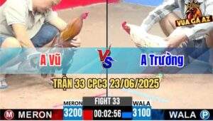 Trận 33 CPC3 23/06/2025 - Gà Điều Anh Vũ Ra Đòn Cựa Quá Hiểm