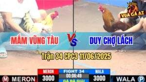 Trận 34 CPC3 11/6/2025 - Chúc Mừng Anh Mắm Vũng Tàu Lên Ngôi Vô Địch