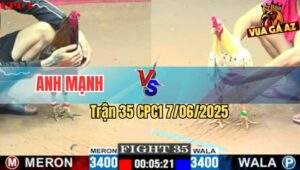 Trận 35 CPC1 7/6/2025 - Bướm Hiệu Anh Phước Cần Thơ Tải Cựa Quá Tốt