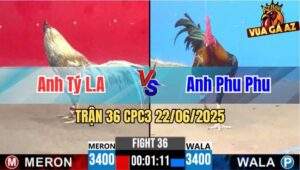 Trận 36 CPC3 22/06/2025 - Anh Tý Long An Gặp Anh Phu Phu