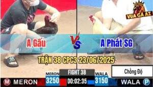 Trận 38 CPC3 23/06/2025 - Anh Gấu Và Anh Phát SG, Trận Hoà Mãn Nhãn