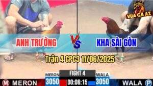 Trận 4 CPC3 11/6/2025 - Anh Tèo Thả Gà Điều Chỉ Tay Nước Có Kem