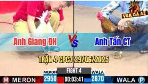 Trận 4 CPC3 29/06/2025 - Anh Giang Đức Hoà Vs Anh Tấn Cần Thơ