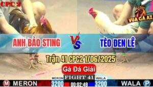 Trận 41 CPC2 1/6/2025 - Anh Bảo Sting Bị Anh Tèo Đen Lê Gạt Giò