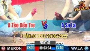 Trận 43 CPC3 29/06/2025 - Anh Tèo Bến Tre Vs Anh Sa La