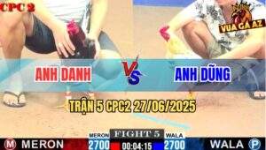 Trận 5 CPC2 27/06/2025 - Gà Bướm Anh Danh Đâm Gà Điều Gục Sau 3 Cựa