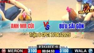 Trận 6 CPC1 7/6/2025 - Điều Bông Anh Mr Cùi Đá Tăng 1 Có Kem