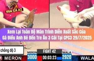 Full Video Gà Điều Anh Bé Bến Tre Ăn 3 Cái Tại CPC3 Ngày 29/7/2025