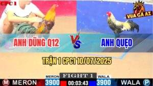 Trận 1 CPC1 10/7/2025 - Chuối Anh Quẹo Mở Bát Đá Điều Cắm Đầu Vô Vách