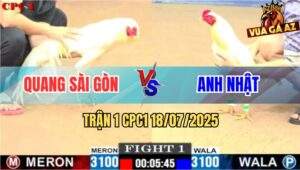 Trận 1 CPC1 19/7/2025 - Gà Úa Anh Quang Sài Gòn Khôn Nhà Dại Chợ