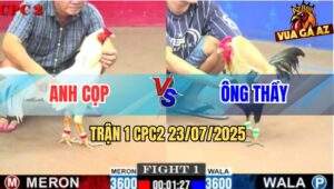 Trận 1 CPC2 23/7/2025 - Bướm Anh Cọp Mở Bát Đá Chuối Đen Bể Bóng Đèn