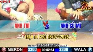 Trận 10 CPC1 19/7/2025 - Gà Điều Anh Củ Mì Nhấc Chân Là Có Kết Quả