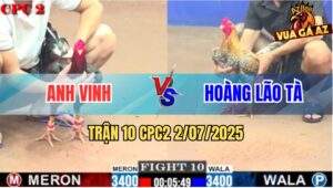 Trận 10 CPC2 2/7/2025 - Gà Điều Anh Vinh Hạ Đẹp Cú Cọp Hoàng Lão Tà