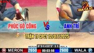 Trận 11 CPC1 12/7/2025 - Điều Anh Phúc Gò Công Đâm Cựa Quá Hiểm