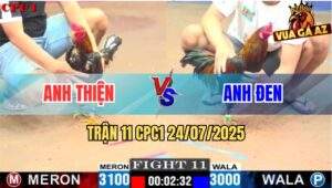 Trận 11 CPC1 24/7/2025 - Mẻ Hiệu Anh Tính Ga King Đâm Cựa Bao Dính